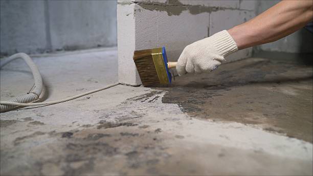 Top rated local Wet Basement Repair specialists in Harmony, IN